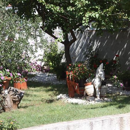 Family Apartment Mirela Borik Zadar Extérieur photo